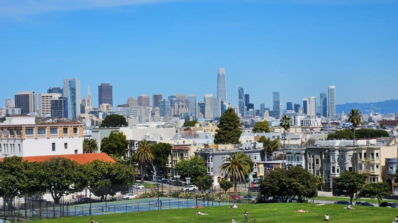 Bay Area View