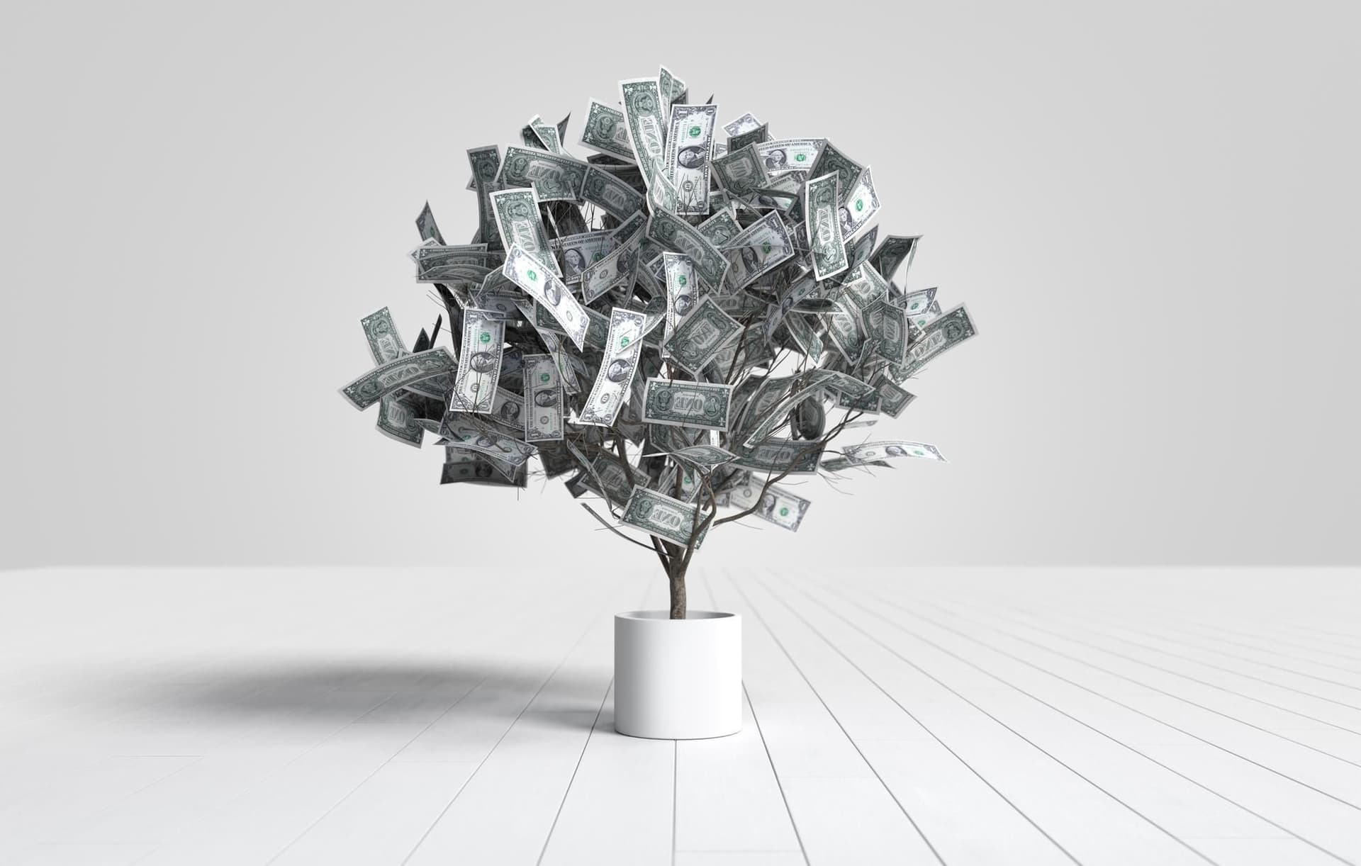 Money Tree